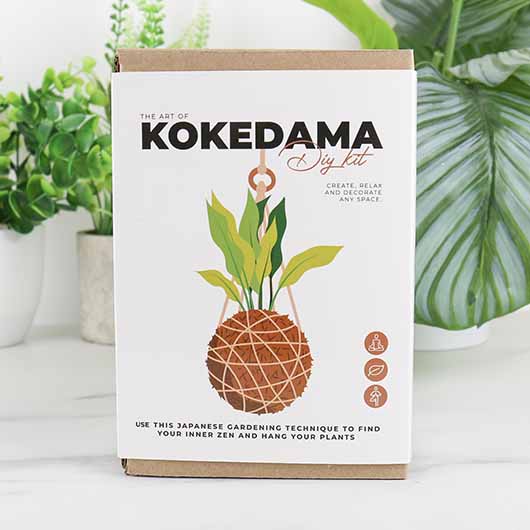 Gift Republic The Art Of Kokedama