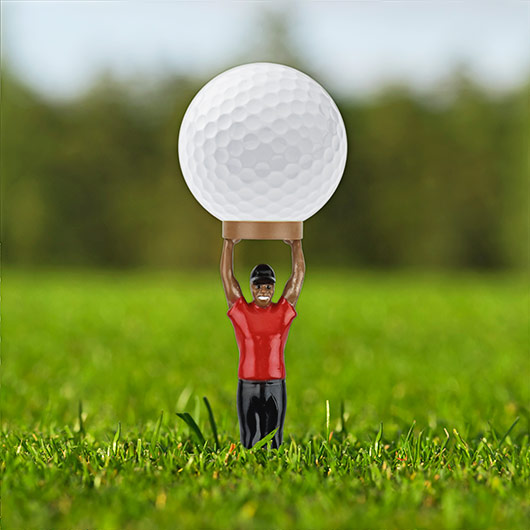 gift republic Tiger Tees