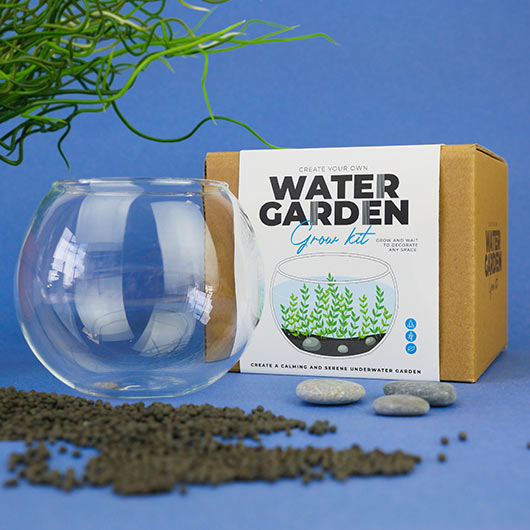 Gift Republic Water Garden Grow Kit