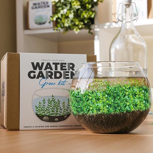 gift republic Water Garden Grow Kit