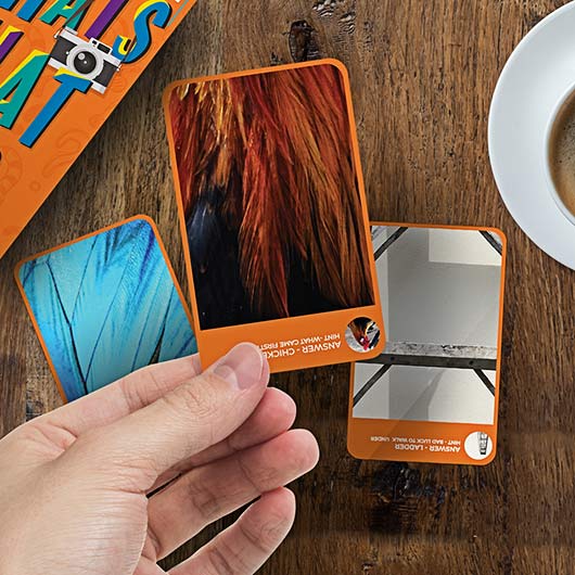 gift republic What's That Pic?