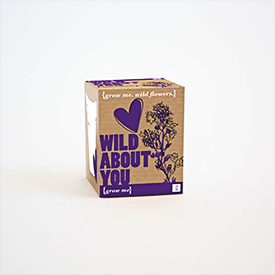 gift republic wild about you - Grow Me