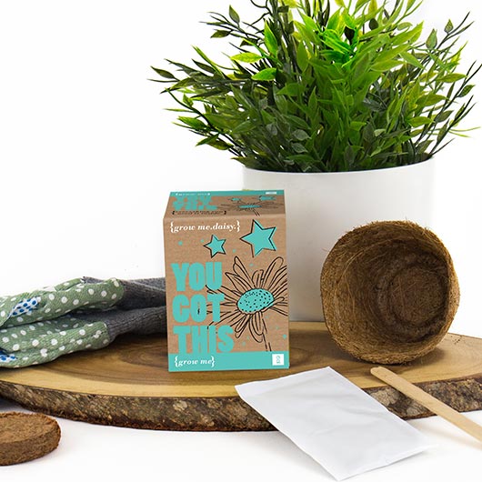 Gift Republic You Got This - Grow Me