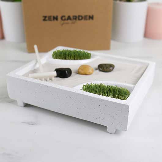 gift republic Zen Garden Grow Kit