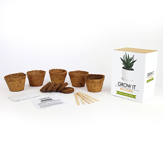 Gift Republic Grow Your Own Air Filtering Plant - Grow It