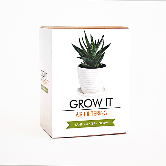 Gift Republic Grow Your Own Air Filtering Plant - Grow It