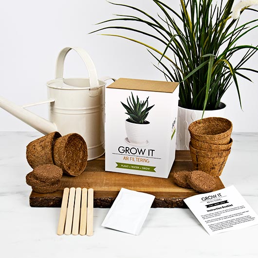 gift republic Grow Your Own Air Filtering Plant - Grow It