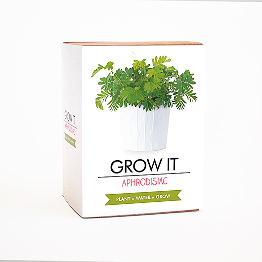 Gift Republic Grow Your Own Aphrodisiac Plant - Grow It