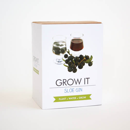 gift republic Grow Your Own Sloe Gin berries - Grow It