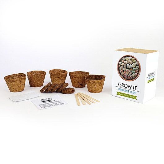 Gift Republic Grow Your Own Snore Curing Plant - Grow It