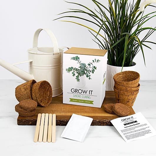 gift republic Grow Your Own Snore Curing Plant - Grow It