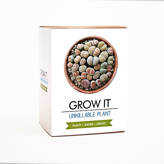 Gift Republic Grow Your Own Unkillable Plant - Grow It