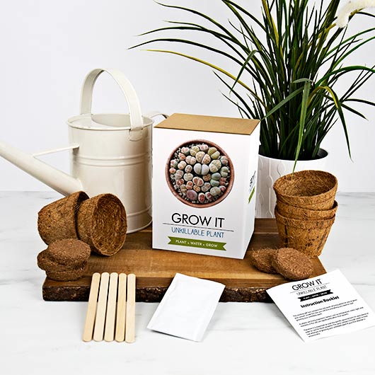 gift republic Grow Your Own Unkillable Plant - Grow It