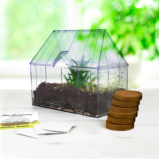 gift republic Mini Greenhouse Grow Kit – Create Your Own Indoor Herb Garden