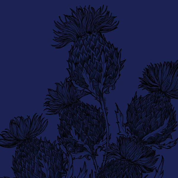 Gillian Kyle Black Thistle Suitcase - Midnight Blue