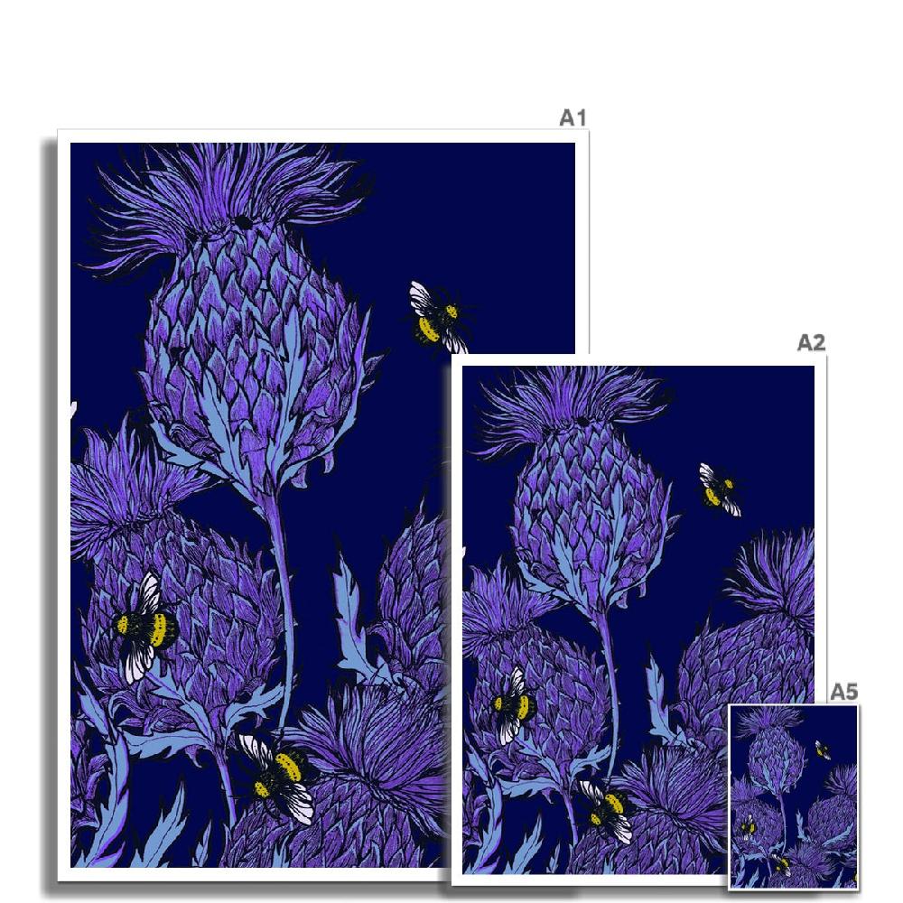 Gillian Kyle Midnight Thistle Fine Art Print