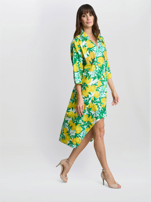 Gina Bacconi Raelynn Shirt Dress