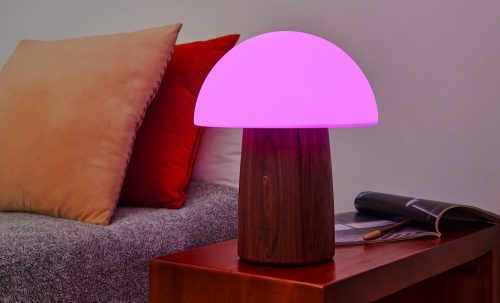 Gingko Alice Mushroom Lamp