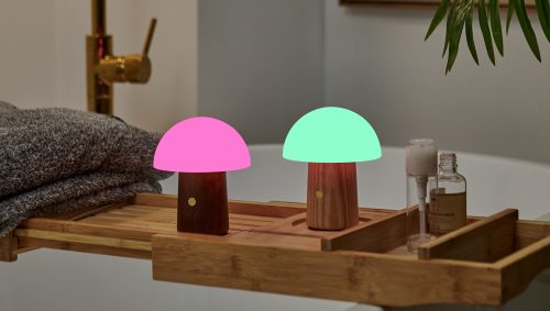 Gingko Alice Mushroom Lamp