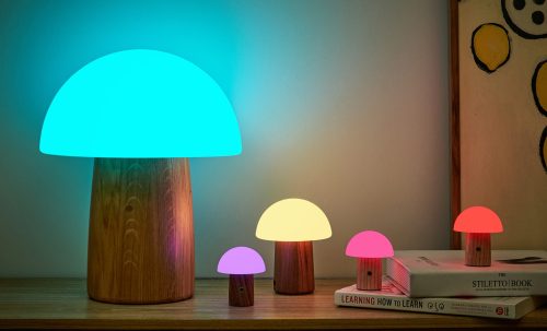 gingko Alice Mushroom Lamp