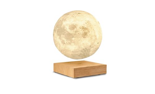 Gingko Moon Globe For Smart Moon Lamp