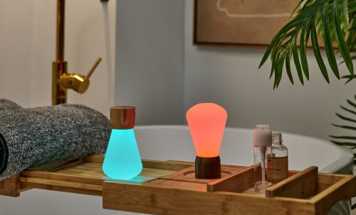 Gingko Pentagon Desk Bulb