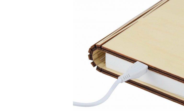 Gingko Smart Book Light (Natural Wood)