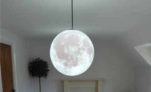 gingko The Everyone's Moon