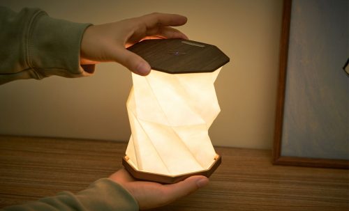 Gingko Twist Hexagon Lamp