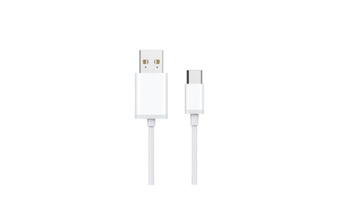 Gingko Type C USB Cable