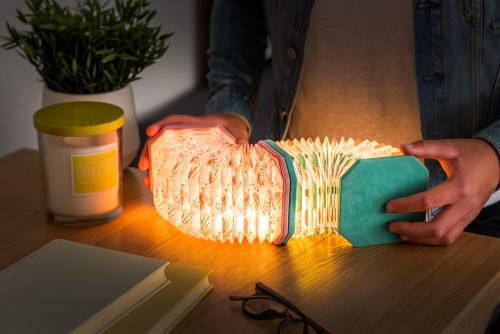 Gingko Velvet Accordion Lamp