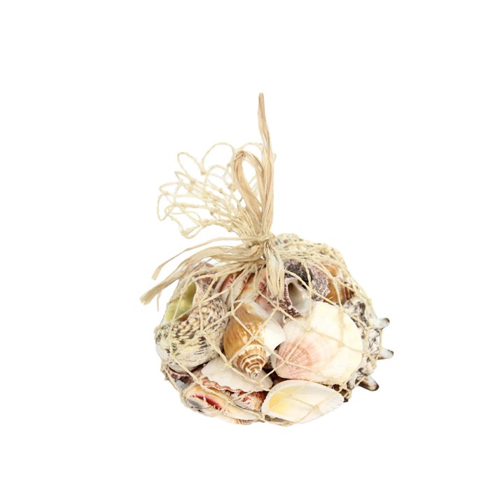 gisela graham Bag of Shells - 500g