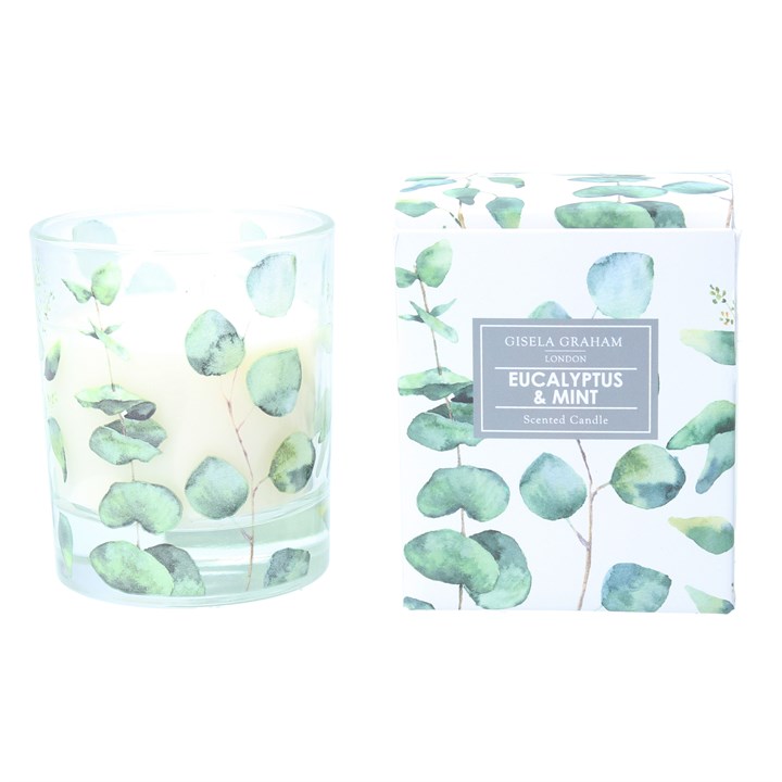 gisela graham Boxed Scented Candle - Eucalyptus
