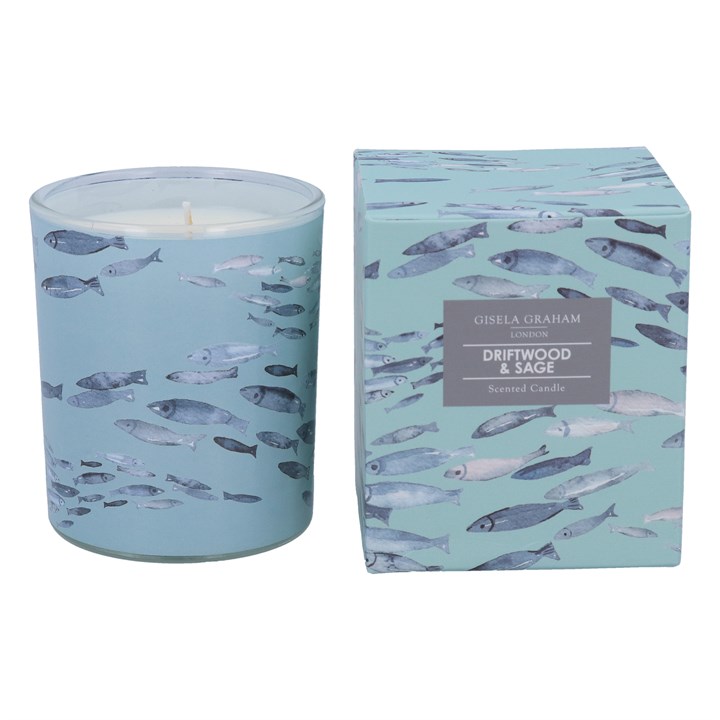 gisela graham Boxed Scented Candle - Shoal of Fish