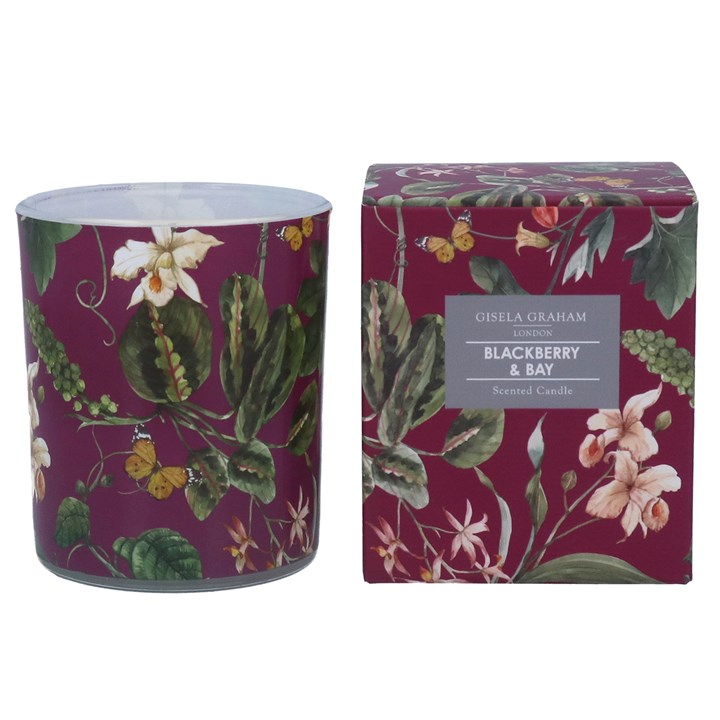 gisela graham Boxed Scented Candle - Wild Orchids