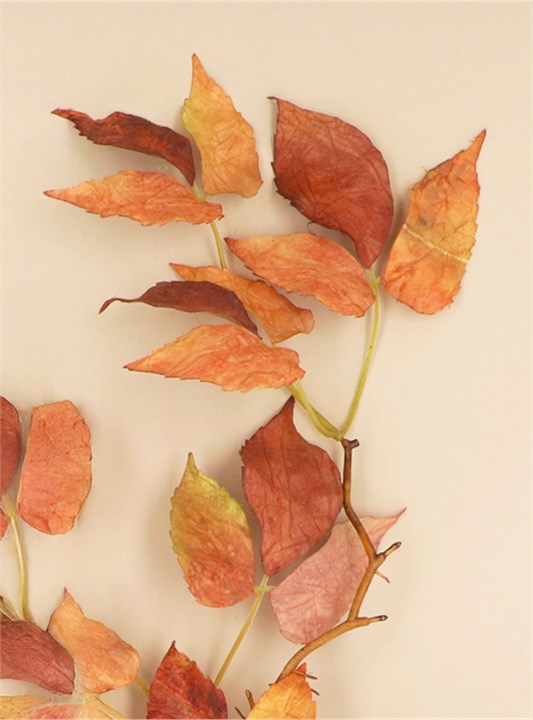 Gisela Graham Branch - Autumn Leaf Flat Lay