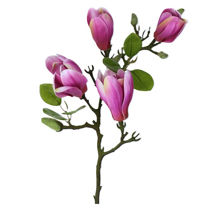 gisela graham Branch - Dark Pink Magnolia