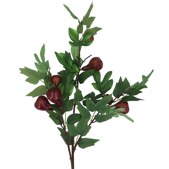 gisela graham Branch - Fig