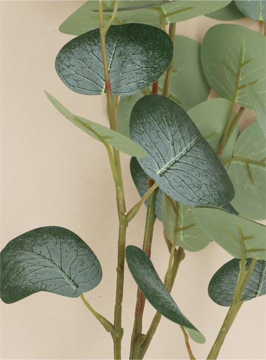 Gisela Graham Branch - Green Eucalyptus