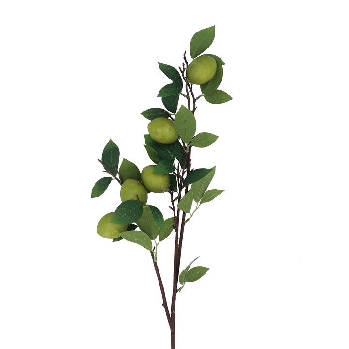 gisela graham Branch - Lime