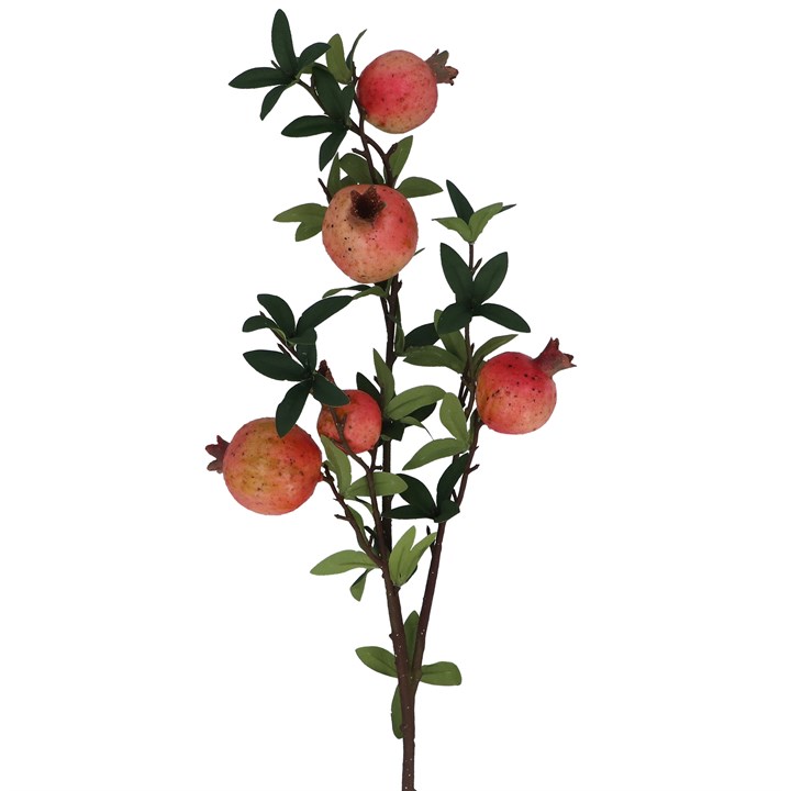 gisela graham Branch - Pomegranate
