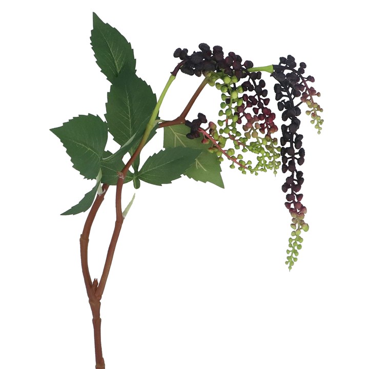 gisela graham Branch - Purple Weeping Mini Grape