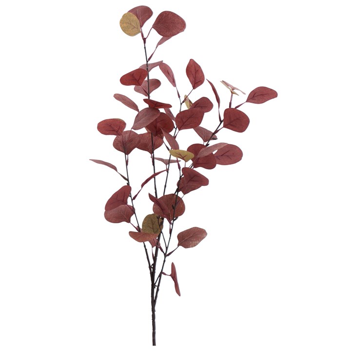 gisela graham Branch - Red Green Eucalyptus