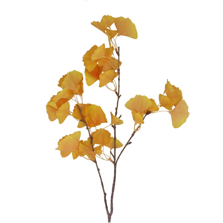 gisela graham Branch - Yellow Ginkgo