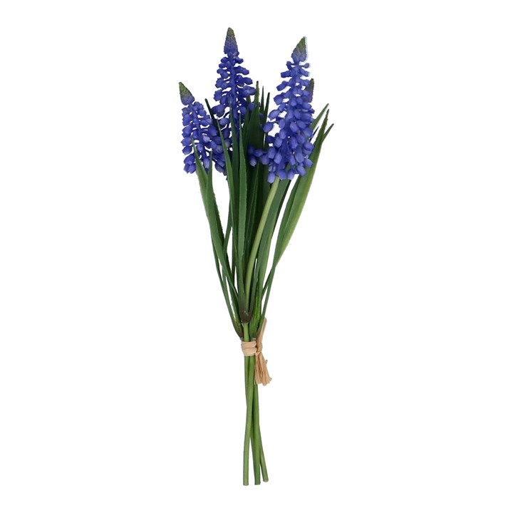 gisela graham Bunch - Blue Muscari