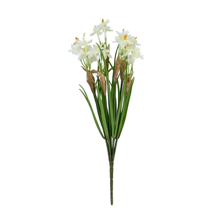 gisela graham Bunch - White Narcissus
