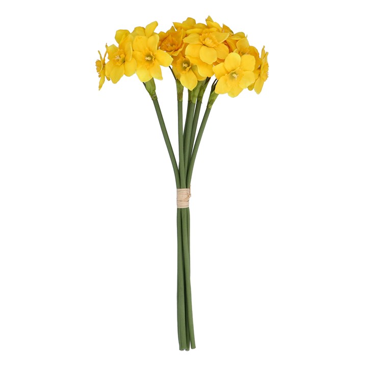 gisela graham Bunch - Yellow Narcissus