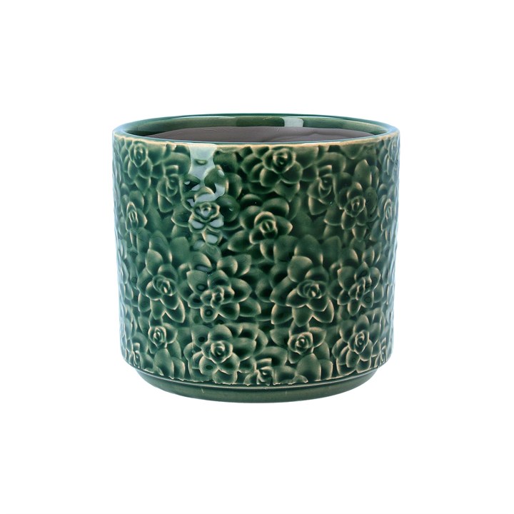 gisela graham Ceramic Pot Cover - Green Succulents