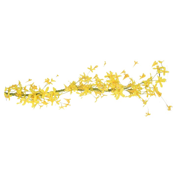 gisela graham Garland - Yellow Forsythia