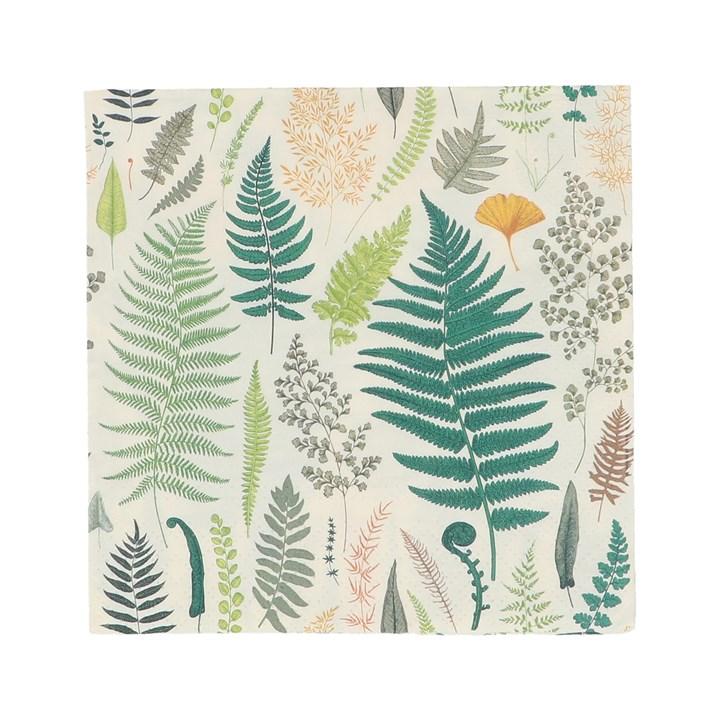 gisela graham Paper Napkins - Fern Mix